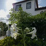 Loving Strangers Ostello Madalena (Azores)