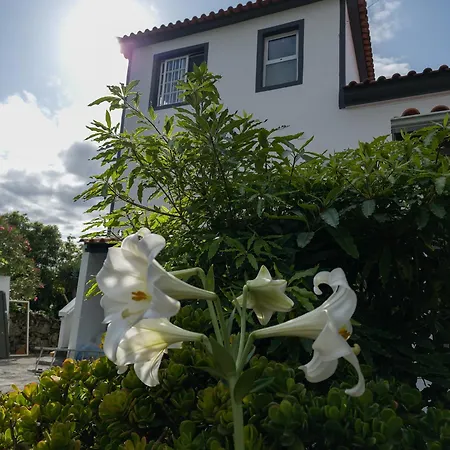 Loving Strangers Hostel Madalena (Azores)