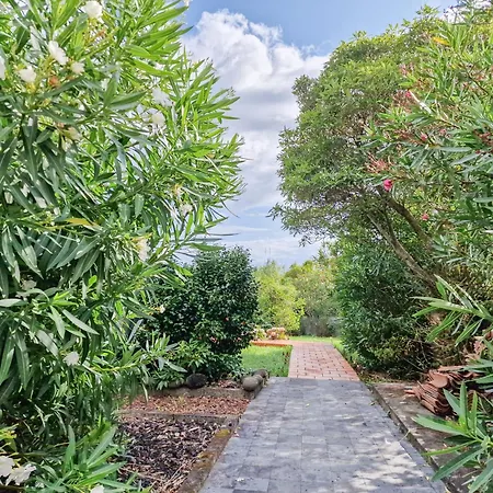 Loving Strangers 호스텔