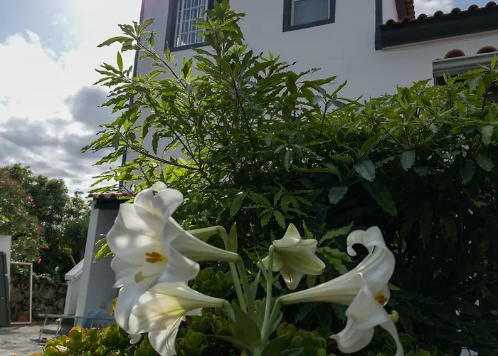 Loving Strangers 호스텔 마달레나