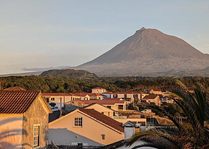 호스텔 Loving Strangers