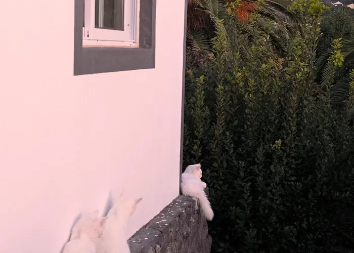 Loving Strangers 호스텔