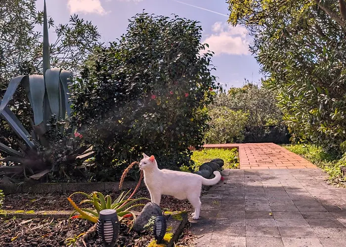 호스텔 Loving Strangers