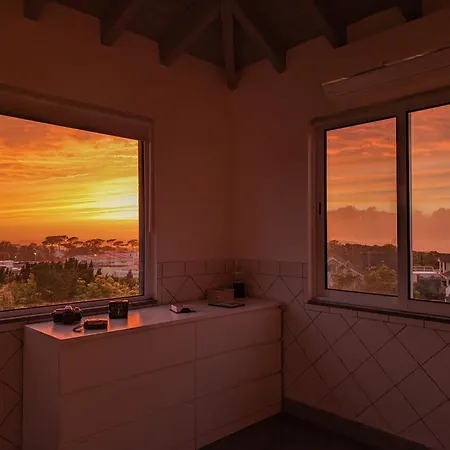 Loving Strangers Madalena (Azores)