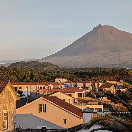 Hostel Loving Strangers