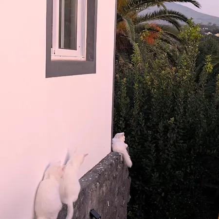 Loving Strangers Auberge de jeunesse