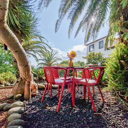 Loving Strangers Madalena (Azores)