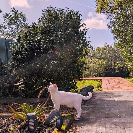 Hostel Loving Strangers