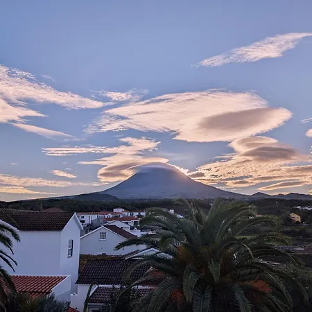 Hostel Loving Strangers
