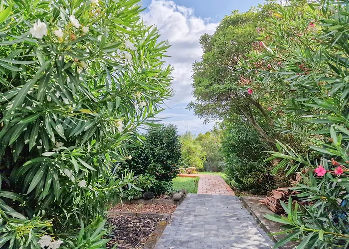 Loving Strangers Hostel