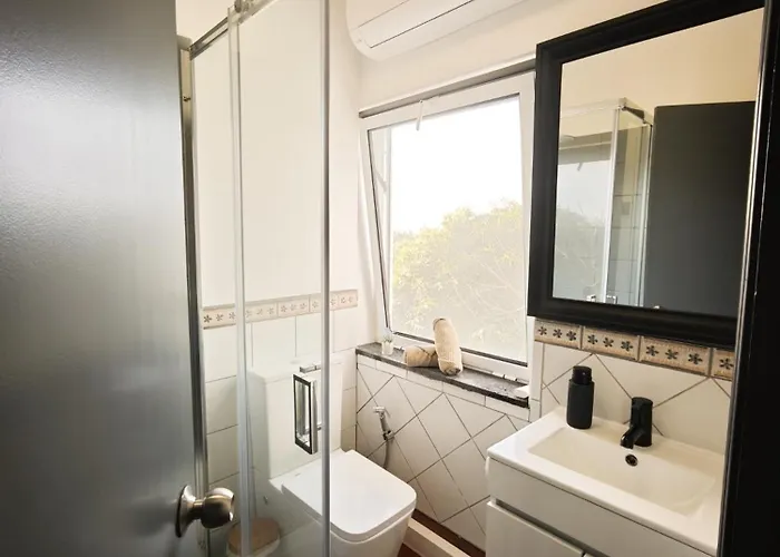 Loving Strangers Madalena (Azores)